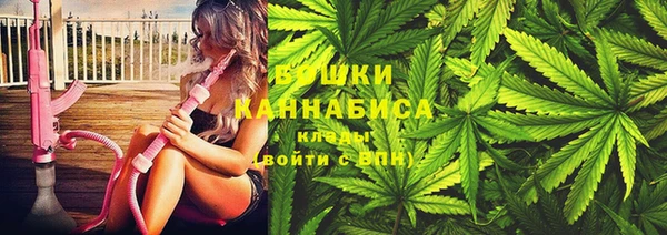 амф Богородицк
