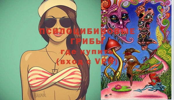 амф Богородицк