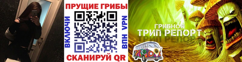Псилоцибиновые грибы Cubensis  где найти   Каспийск 